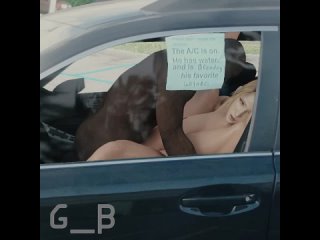 samus aran - sex in the car; bbc; blacked; interracial hentai; missionary; 3d sex porno hentai; (by @generalbutch) [metroid]