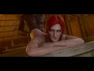 triss - doggystyle; vaginal; 3d sex porno hentai; [the witcher]